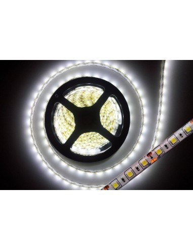 5 METRI STRISCIA 300 LED 5050 5 MT LUCE A SCELTA WATERPROOF IP65 12 V PREMIUM SERIES
